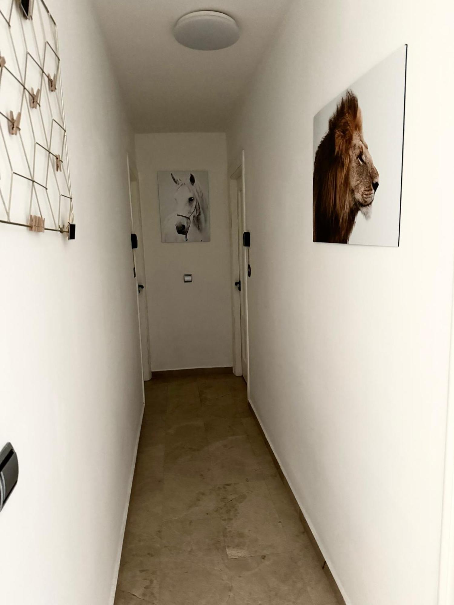 Alojamiento Bruckner Màlaga Exteriér fotografie